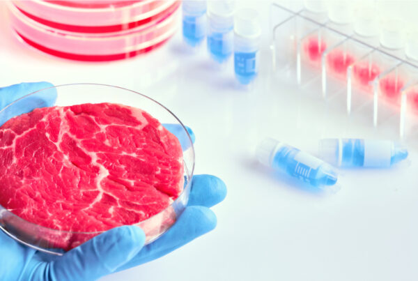 zdjęcie główne_food safety