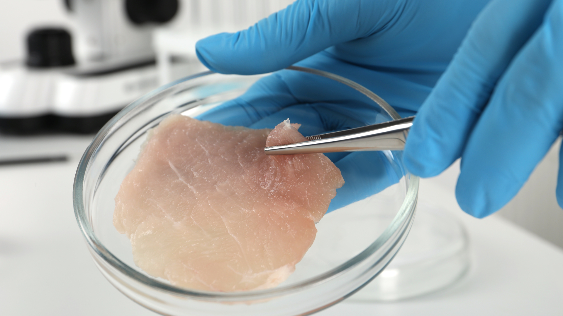 Aspekty zdrowotne mięsa hodowanego w laboratorium: antybiotykooporność