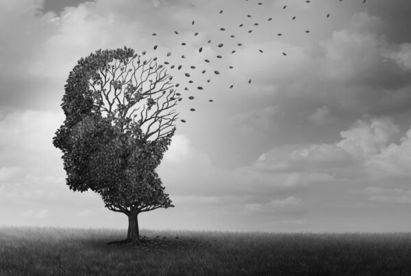 zdjęcie główne_rośliny i alzheimer