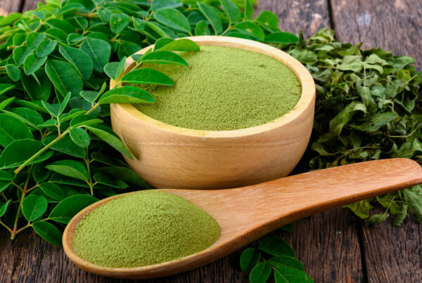zdjęcie główne_moringa skuteczność i su