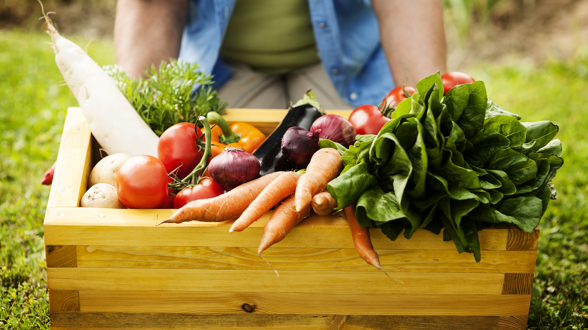 Czy żywność ekologiczna zawiera więcej składników odżywczych?