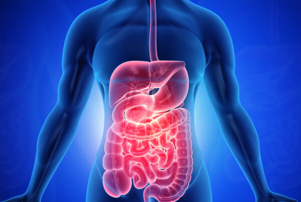 zdjęcię główne_bowel wars