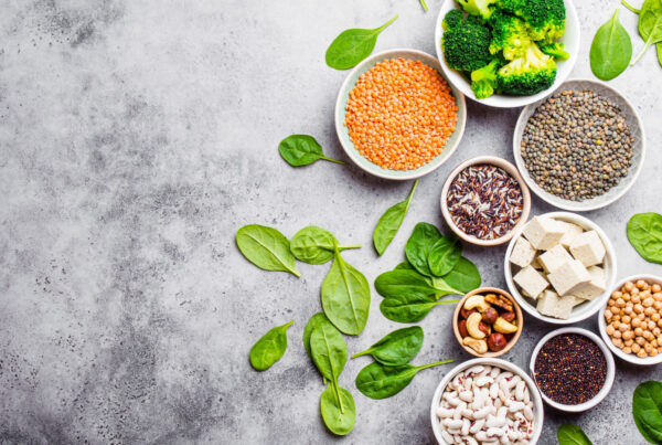 zdjęcie główne_plant vs. animal protein