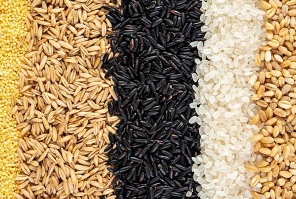 zdjęcie główne_potential harm in gf diets
