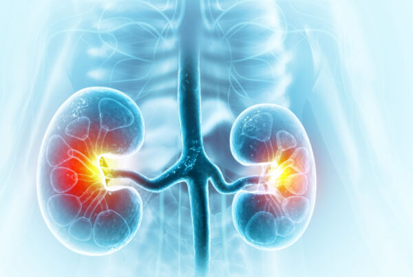 zdjęcie główne_low-protein diet for kidney disease