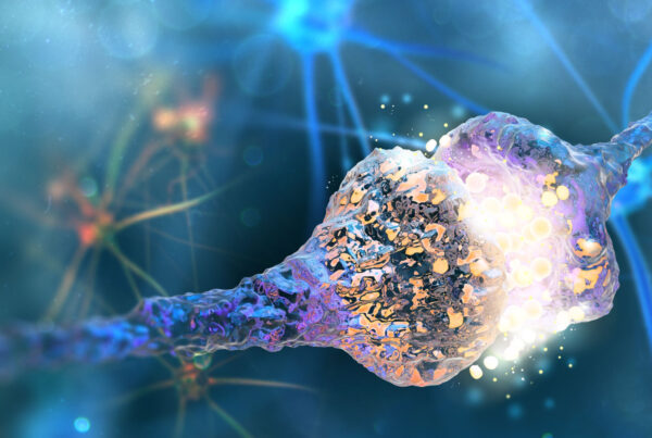 zdjęcie główne_AGEs and cognitive function