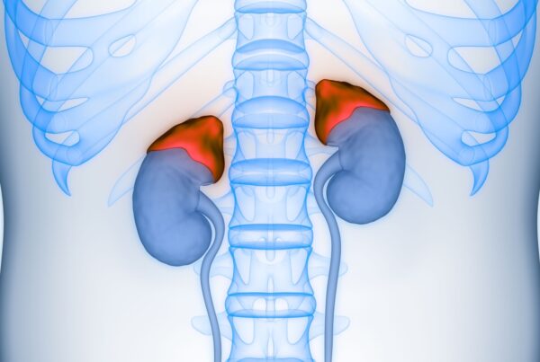 zdjęcie główne_adrenal fatigue